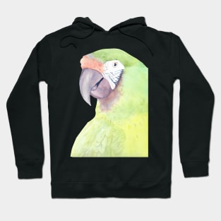 military macaw watercolor portrait parrot painting Hoodie